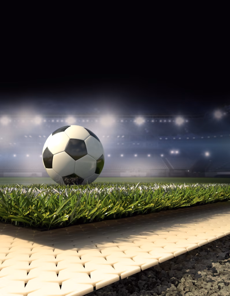 Professional sports industry